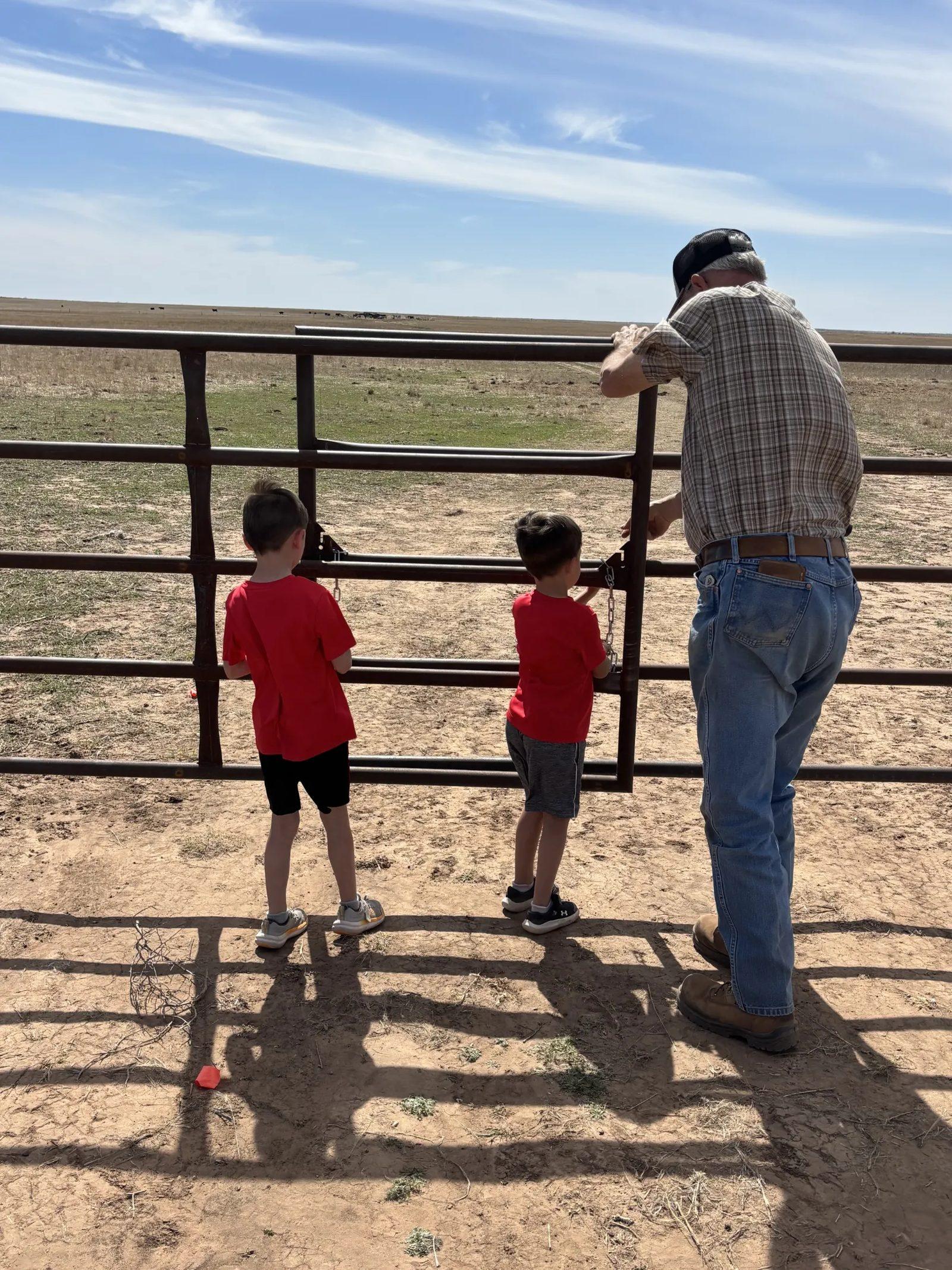 Checking the herd at the gate, three generations deep